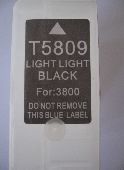 Večna kartuša za Epson 3800 Light Light Black T5809